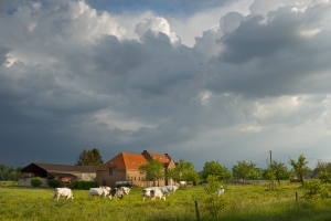 Allerlei landschappen