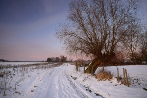 Hageland